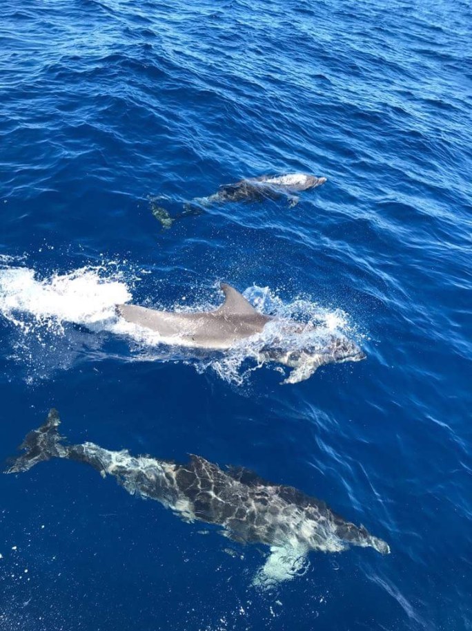 46B8BC54-EB0F-42D6-98A0-5BB95AE61677