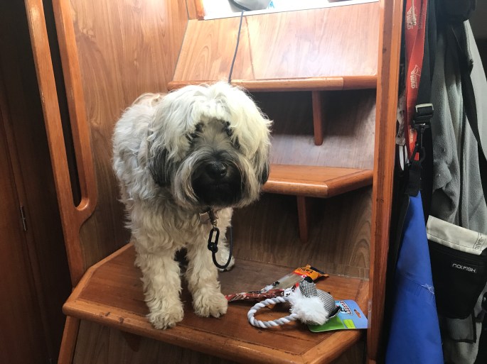 0B965E29-48B1-447B-A584-34B092C9C42D